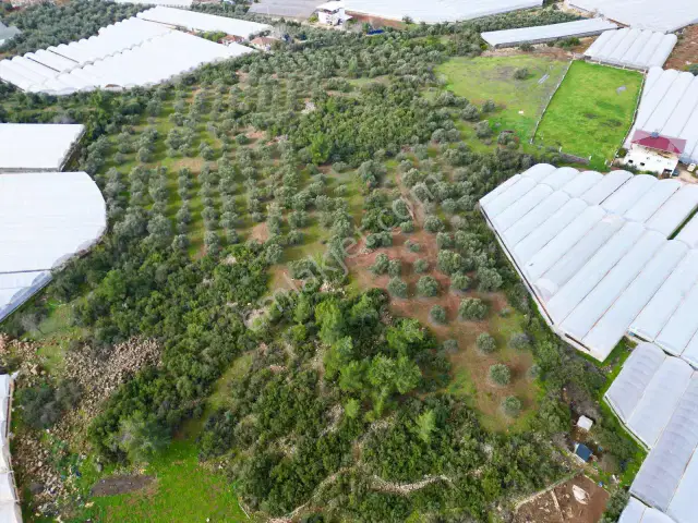 Antalya Kepez Gazilerde 30.664 M² Yatırımlık Tarla