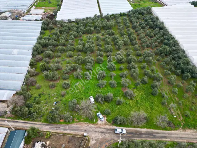 Kepez Gazilerde 8.766 M² Müstakil Depo Ve Tarımsal Yapıya Uygun