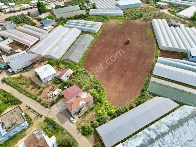 Antalya Kepez Gazilerde 9.805 M² Verimli Tarla Yatırıma Uygun