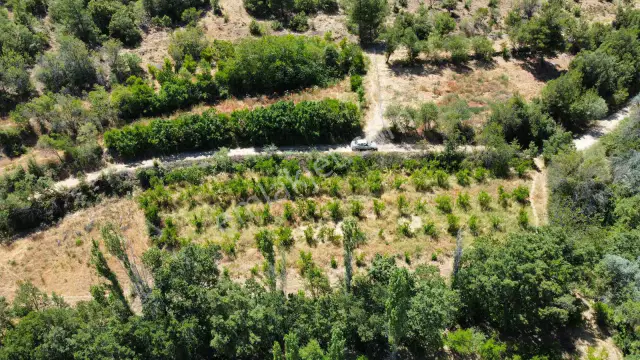 Çeltikçi Kuzköy'de Köyiçi 500 M2 Satılık Bahçe Yol-su Mevcut