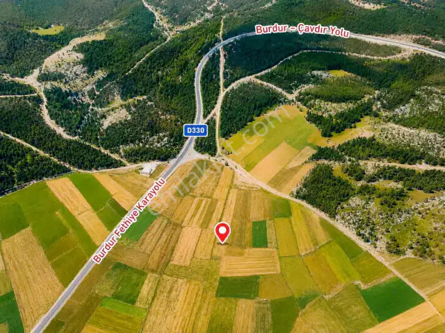 Tefenni Karamusa | 1.843 M² | Elektrik | Sulama | Ana Yola 450 M — görsel 3