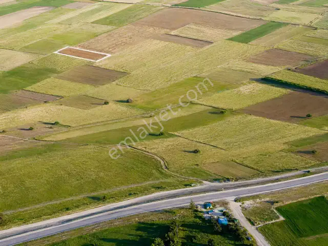 Tefenni Karamusa | 1.843 M² | Elektrik | Sulama | Ana Yola 450 M — görsel 4