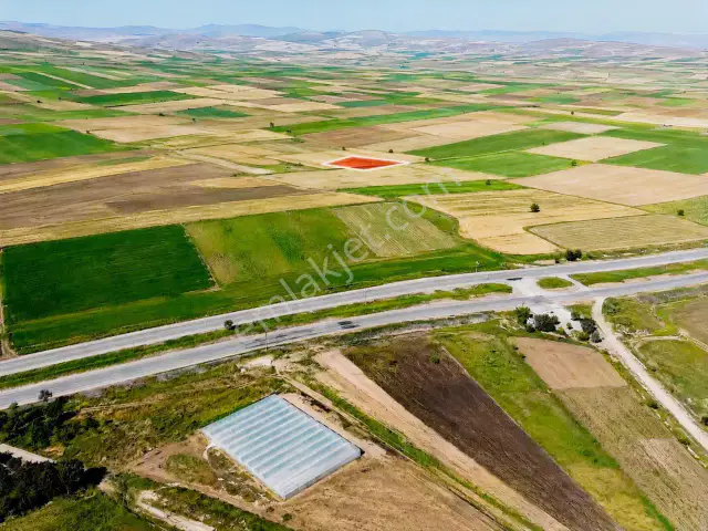 Tefenni Karamusa | 1.843 M² | Elektrik | Sulama | Ana Yola 450 M — görsel 5