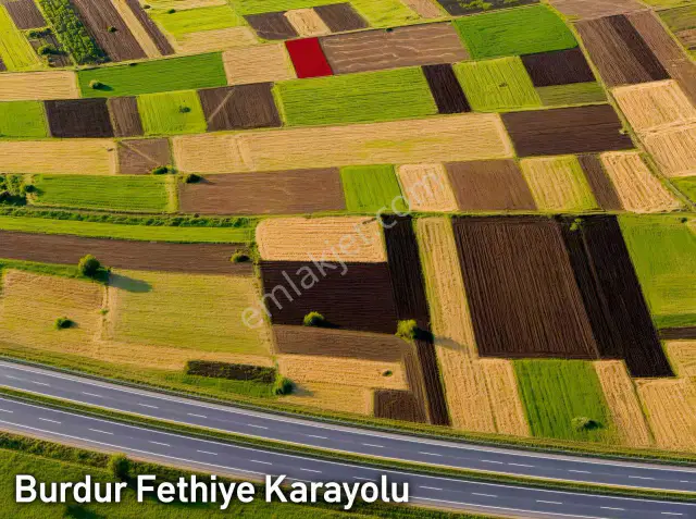 Tefenni Karamusa | 1.843 M² | Elektrik | Sulama | Ana Yola 450 M — görsel 13