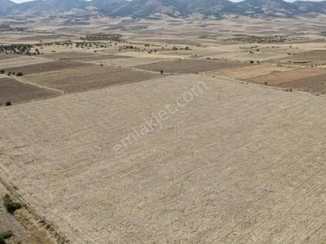 Tefenni Beyköy | 24.801 M² | Müstakil Tapu | Ana Yola 500 M — görsel 4