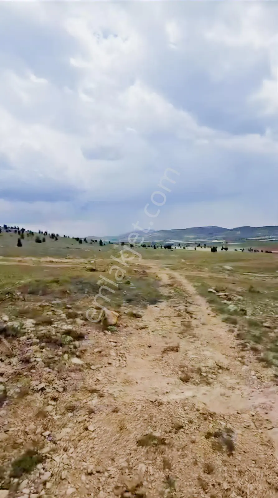 Korkutelı Fırsat Tarla — görsel 2