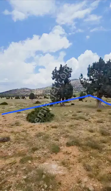 Korkutelı Fırsat Tarla — görsel 5