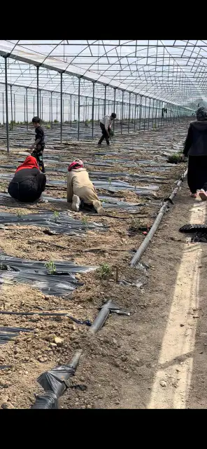 KORKUTELİ KOZAĞACI’NDA SERALI 9.903 M² SATILIK TARLA — görsel 6