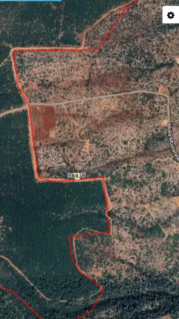 Aksu Topallı'da 491 m² Köşe Parsel! Orman'a cephe, Yanına gidilebilen — görsel 3