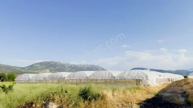Korkuteli'nde Üretime Hazır Sera Ve Tarla — görsel 4