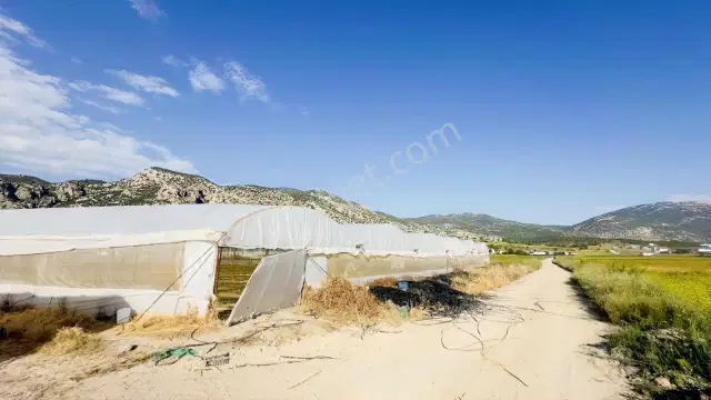 Korkuteli'nde Üretime Hazır Sera Ve Tarla — görsel 5