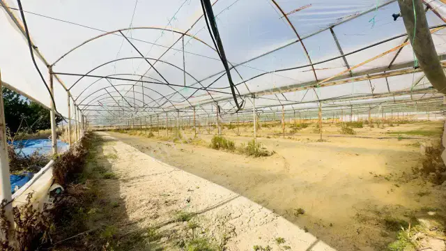 Korkuteli'nde Üretime Hazır Sera Ve Tarla — görsel 8