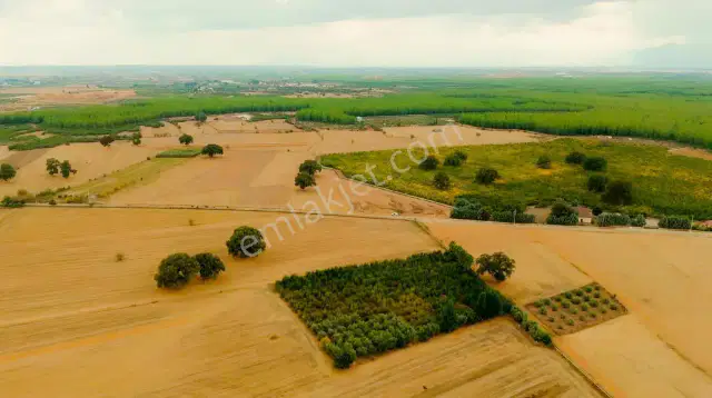 Kızıllı'da Asvalt Yola Sıfır 36879 M2 Tarla — görsel 4