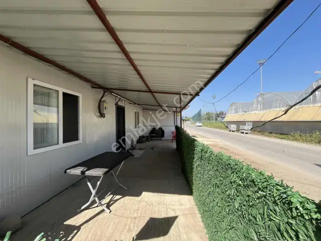 Kemerağzı'nda Asfalt Yola Sıfır 4.450 M2 Çilek Tarlası — görsel 3