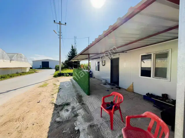 Kemerağzı'nda Asfalt Yola Sıfır 4.450 M2 Çilek Tarlası — görsel 4