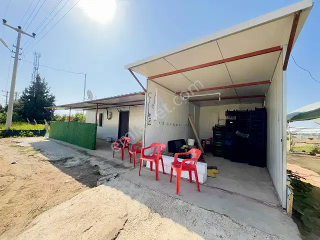 Kemerağzı'nda Asfalt Yola Sıfır 4.450 M2 Çilek Tarlası — görsel 5