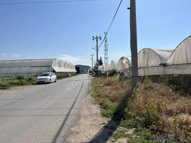 Kemerağzı'nda Asfalt Yola Sıfır 4.450 M2 Çilek Tarlası — görsel 6