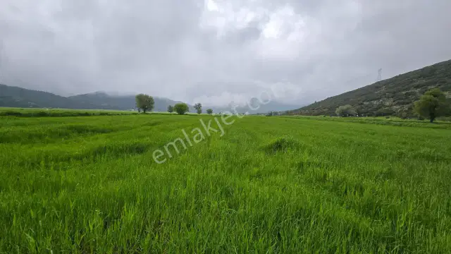 Mellidağ'da Kaçırılmayacak Fırsat! 2.812 M2 Yatırmlık Tarla — görsel 3