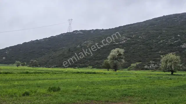 Mellidağ'da Kaçırılmayacak Fırsat! 2.812 M2 Yatırmlık Tarla — görsel 7