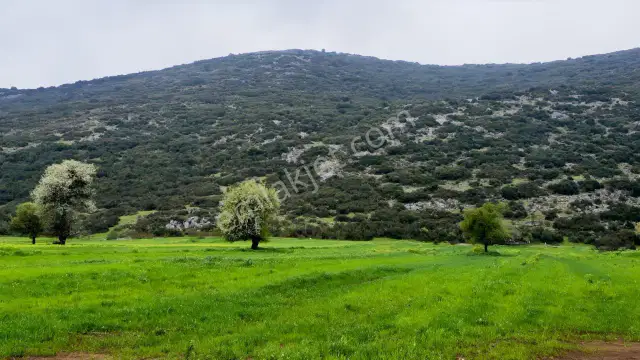 Mellidağ'da Kaçırılmayacak Fırsat! 2.812 M2 Yatırmlık Tarla — görsel 8