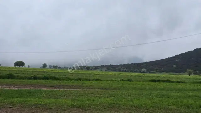 Mellidağ'da Kaçırılmayacak Fırsat! 2.812 M2 Yatırmlık Tarla — görsel 9