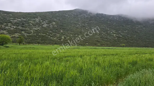 Mellidağ'da Kaçırılmayacak Fırsat! 2.812 M2 Yatırmlık Tarla — görsel 10