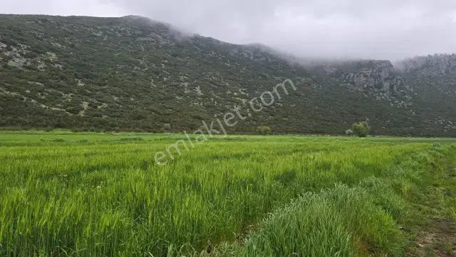 Mellidağ'da Kaçırılmayacak Fırsat! 2.812 M2 Yatırmlık Tarla — görsel 11