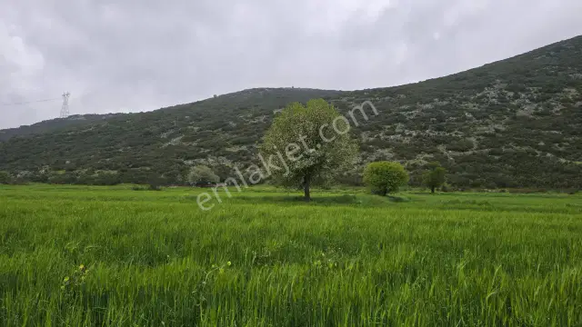 Mellidağ'da Kaçırılmayacak Fırsat! 2.812 M2 Yatırmlık Tarla — görsel 12