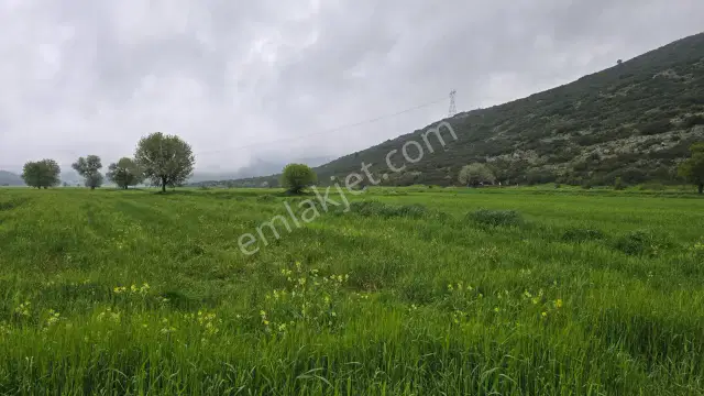 Mellidağ'da Kaçırılmayacak Fırsat! 2.812 M2 Yatırmlık Tarla — görsel 13