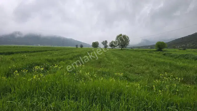 Mellidağ'da Kaçırılmayacak Fırsat! 2.812 M2 Yatırmlık Tarla — görsel 14