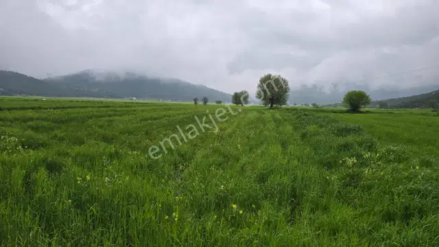 Mellidağ'da Kaçırılmayacak Fırsat! 2.812 M2 Yatırmlık Tarla — görsel 15