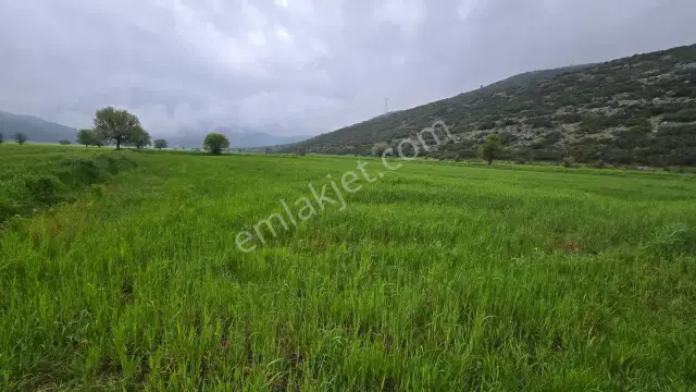 Mellidağ'da Kaçırılmayacak Fırsat! 2.812 M2 Yatırmlık Tarla — görsel 16