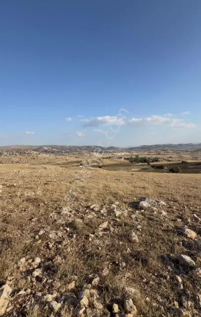 Korkuteli Taşkesiği 6.145 M² Hibe Desteğine Uygun | Köye Yakın — görsel 4