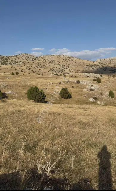 Korkuteli Taşkesiği 6.145 M² Hibe Desteğine Uygun | Köye Yakın — görsel 5