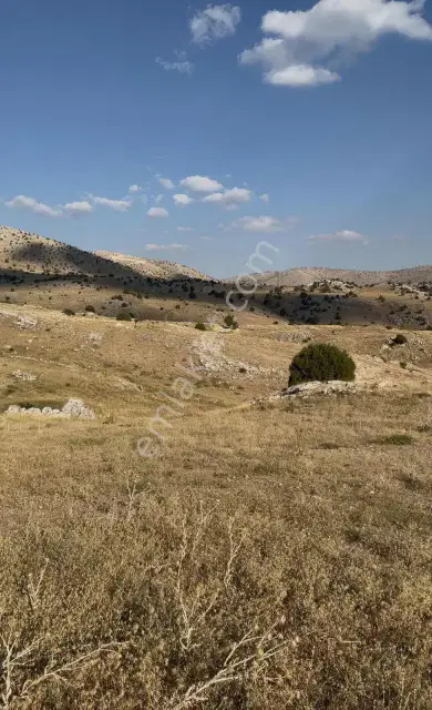 Korkuteli Taşkesiği 6.145 M² Hibe Desteğine Uygun | Köye Yakın — görsel 7
