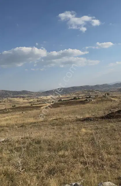 Korkuteli Taşkesiği 6.145 M² Hibe Desteğine Uygun | Köye Yakın — görsel 8
