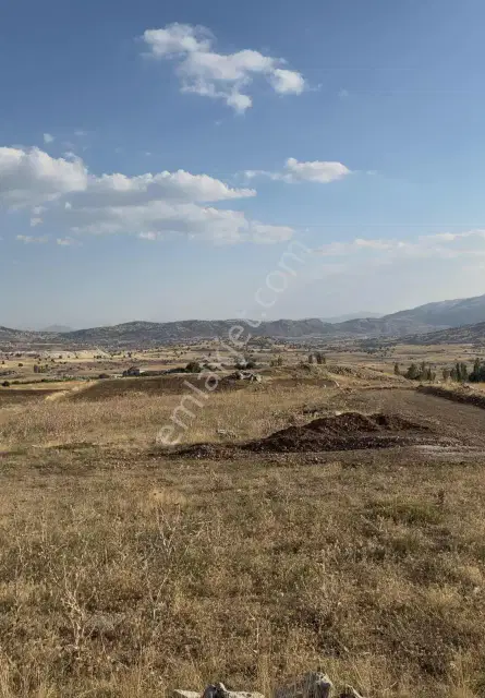 Korkuteli Taşkesiği 6.145 M² Hibe Desteğine Uygun | Köye Yakın — görsel 9