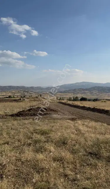 Korkuteli Taşkesiği 6.145 M² Hibe Desteğine Uygun | Köye Yakın — görsel 11