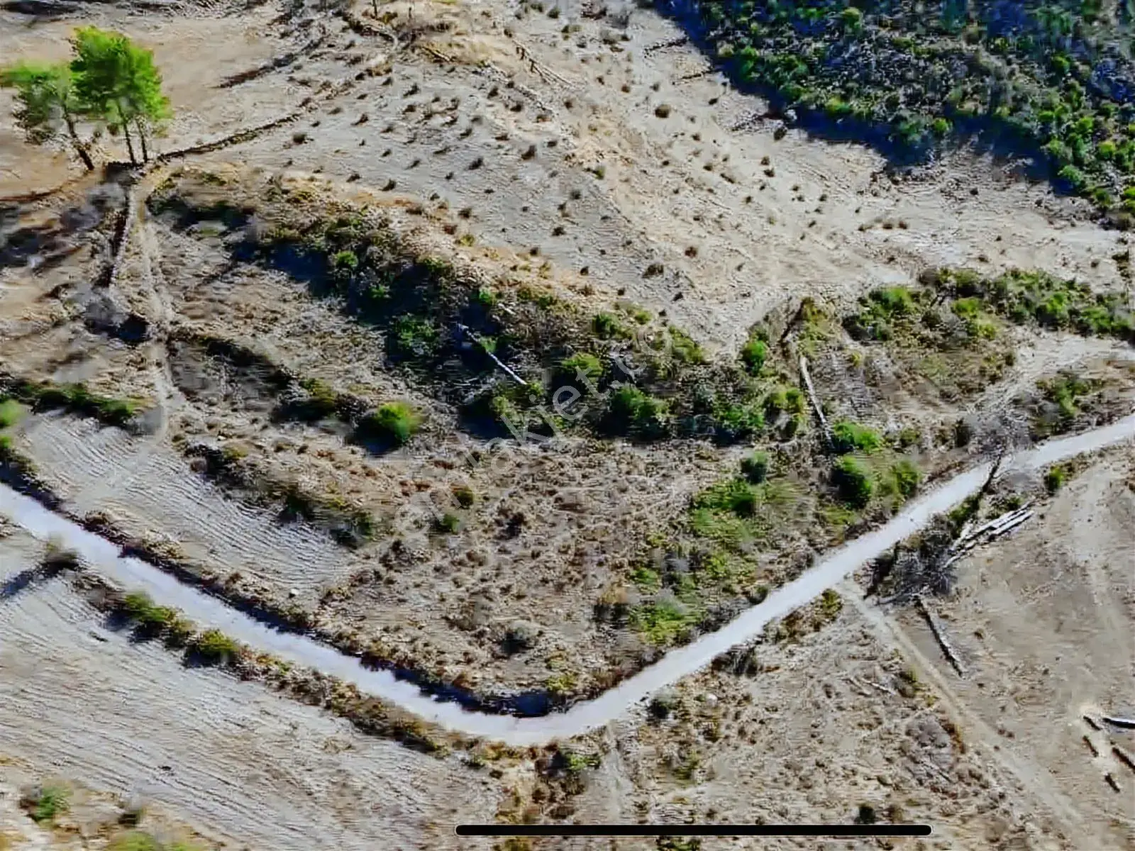 Acil Gökpınar'da 6317 M2 Resmi Yol+en İyi Fiyat+orman Cephe — görsel 2