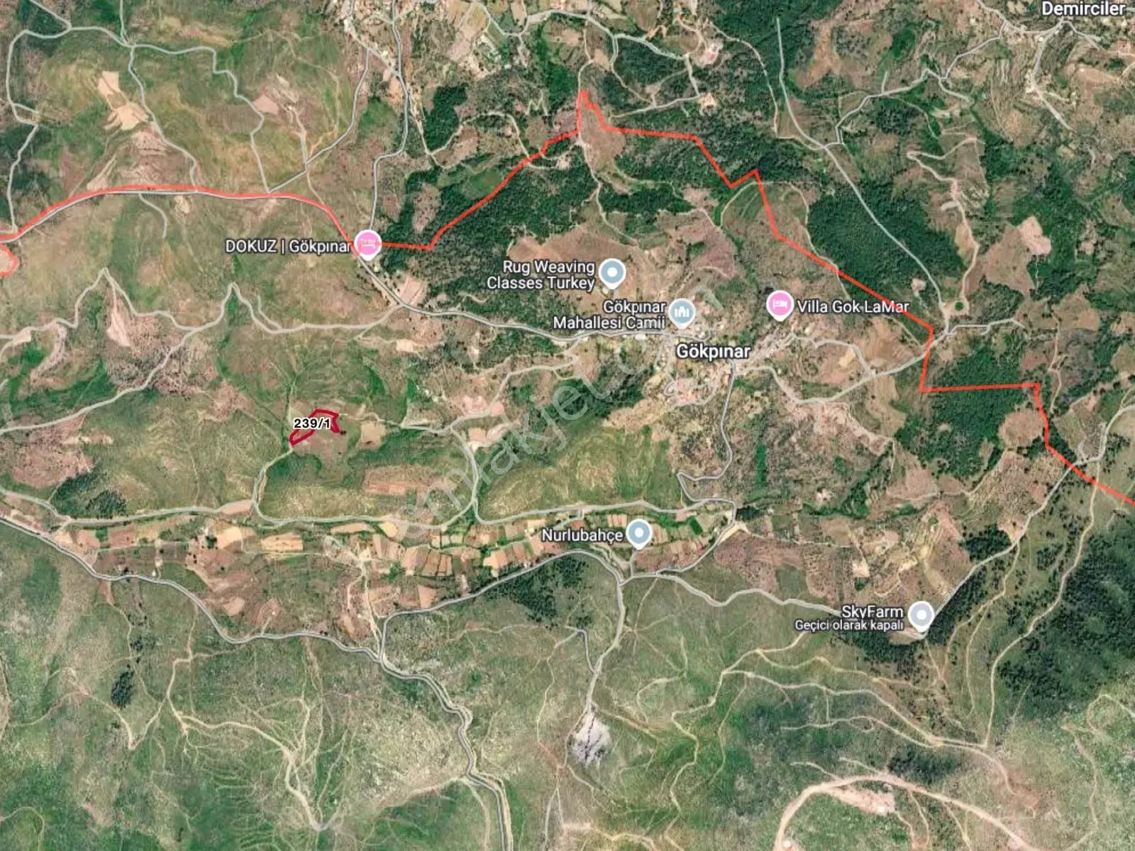 Acil Gökpınar'da 6317 M2 Resmi Yol+en İyi Fiyat+orman Cephe — görsel 6