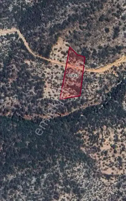 Ender Kortan'dan Kaş Gökçeören'de Tarla — görsel 12