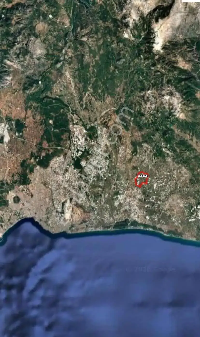 Ender Kortan'dan Serik Çanakçı'da Tarla — görsel 2