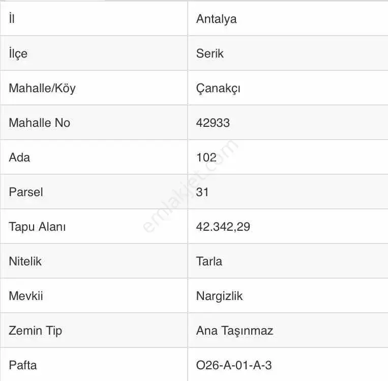 Ender Kortan'dan Serik Çanakçı'da Tarla — görsel 10