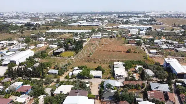 Atatürk Mah.'de Satılık 985 M2 Tarla Hissesi — görsel 11