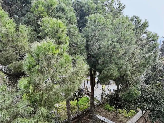 Güzeloba'da, Merkezi Lokasyonda, Eşyalı, Kiralık Daire. — görsel 10
