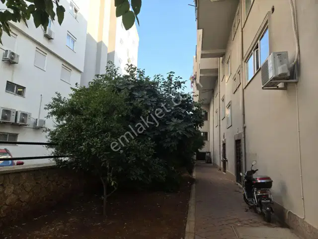 Habiplerde Arakat Asansörlü Geniş 1+1 Daire — görsel 5