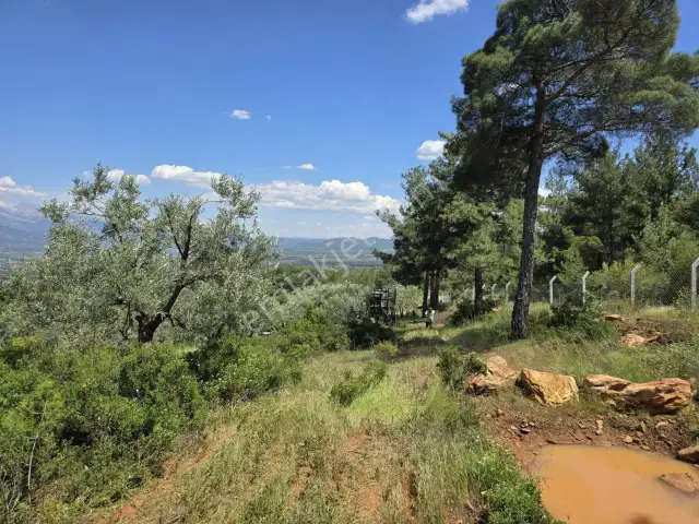 Karacasuda 43.706 M² Dev Yatırım Fırsatı 3 Parsel Birden — görsel 7