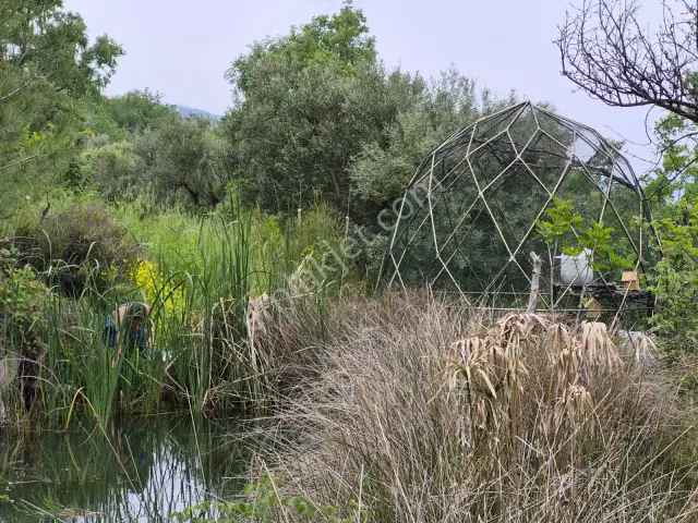 Karacasuda 43.706 M² Dev Yatırım Fırsatı 3 Parsel Birden — görsel 9