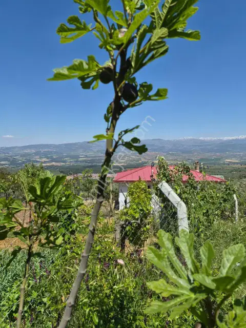 Karacasuda 43.706 M² Dev Yatırım Fırsatı 3 Parsel Birden — görsel 19