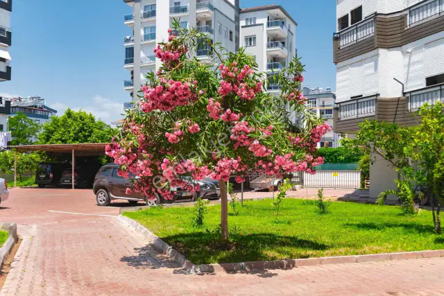 Yalı Caddesinde Site İçerisinde Ara Kat Satılık Daire — görsel 8